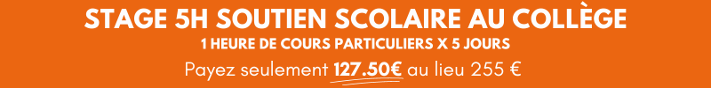 Stage_soutien_scolaire_AVIM_college